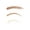Rich Brown, variant on COVERGIRL Easy Breezy Brow Powder Kit, 705 Rich Brown