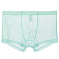 thumbnail image 1 of Men's Mesh Comfortable Sweat-absorbing Ultra-thin Underwear With Flat Angle Pants Clearance, 1 of 2