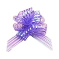 thumbnail image 1 of Lazo para envolver regalos Toystoory Floral Multicolor Púrpura oscuro, 1 of 6