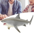 thumbnail image 4 of Figura de Simulació de Modelo de Tiburones, Apariencia Vívida, Detalla Delicados, Posturas Activas, Material PlásTico Adecuado Para Educación Marina Y, 4 of 7