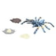 thumbnail image 2 of Modelo de ciclo de crecimiento Modelo de ciclo de vida Modelo de ciclo de crecimiento de araa ModeloCiclo de crecimiento de araa, modelo de ciclo de crecimiento de 4 piezas, modelo de insecto, juguete LHCER No, 2 of 5