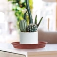 thumbnail image 4 of unbranded 20Ud Bandejas Para Plantas Rojas Duraderas De Plástico Para Macetas En Casa, 4 of 8