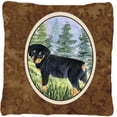 thumbnail image 1 of Carolines Treasures SS8057PW1414 Rottweiler Indoor & Outdoor Fabric Decorative Pillow, 1 of 4