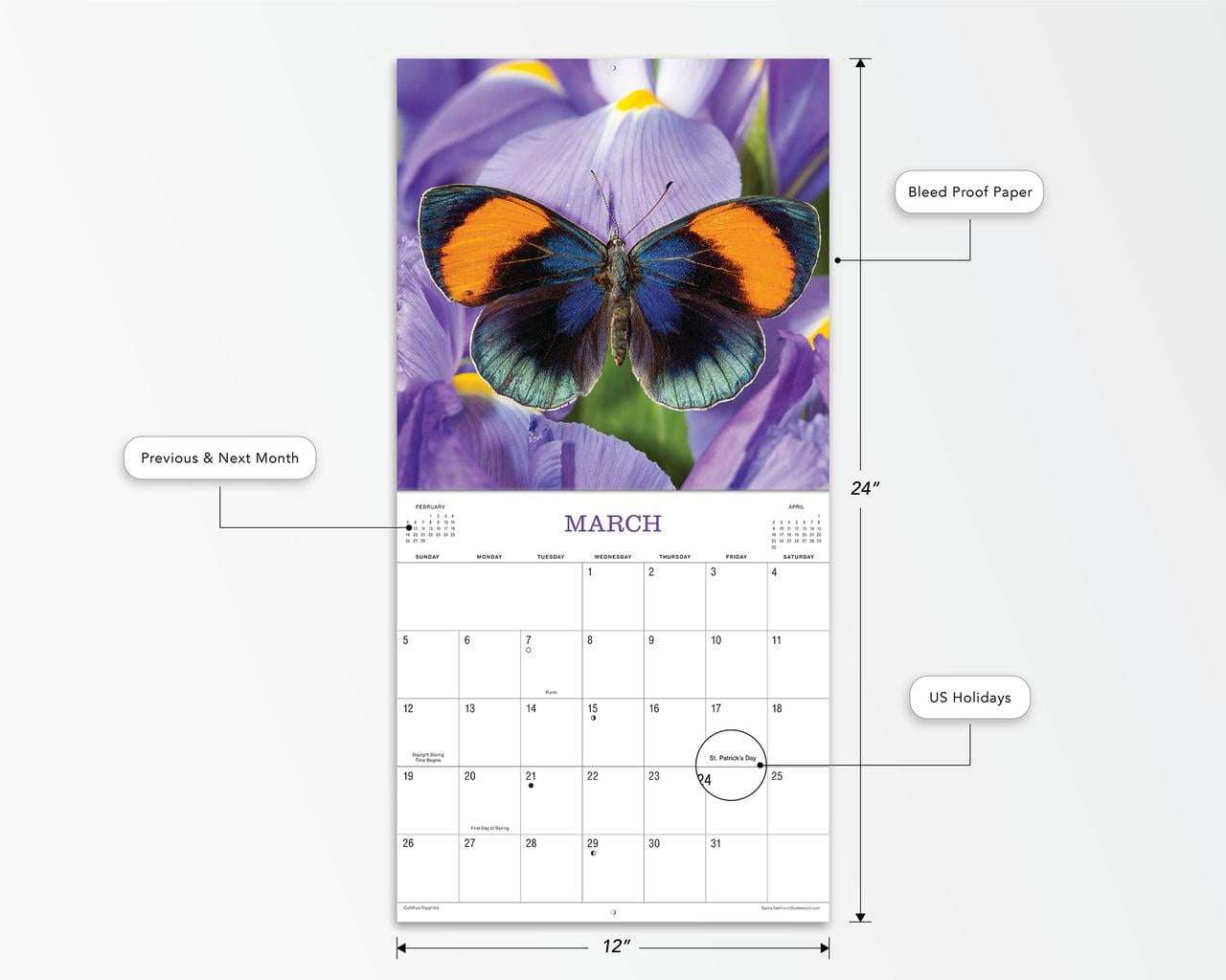 2023 - 12 Month Calendar-Butterfly- 12x12 Hanging Wall Calendar by DaySpring