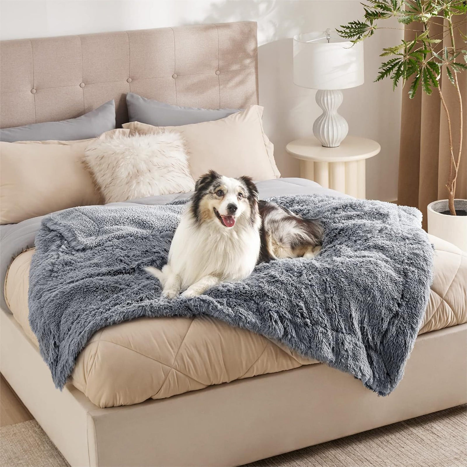 Jubipavy Pet Bed Pet Supplies Pet Stuff Soft Pet Bed Dog Blanket Long Wool PV Fleece Pet Waterproof Blanket Waterproof Padded Kennel For Dogs
