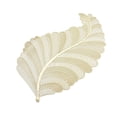 thumbnail image 1 of Leaf Shaped pvc Placemats for Dinner Table Place Mats Wipeable Table Mats for Wedding Annersary Dinner Table Decoration Mats, 1 of 19