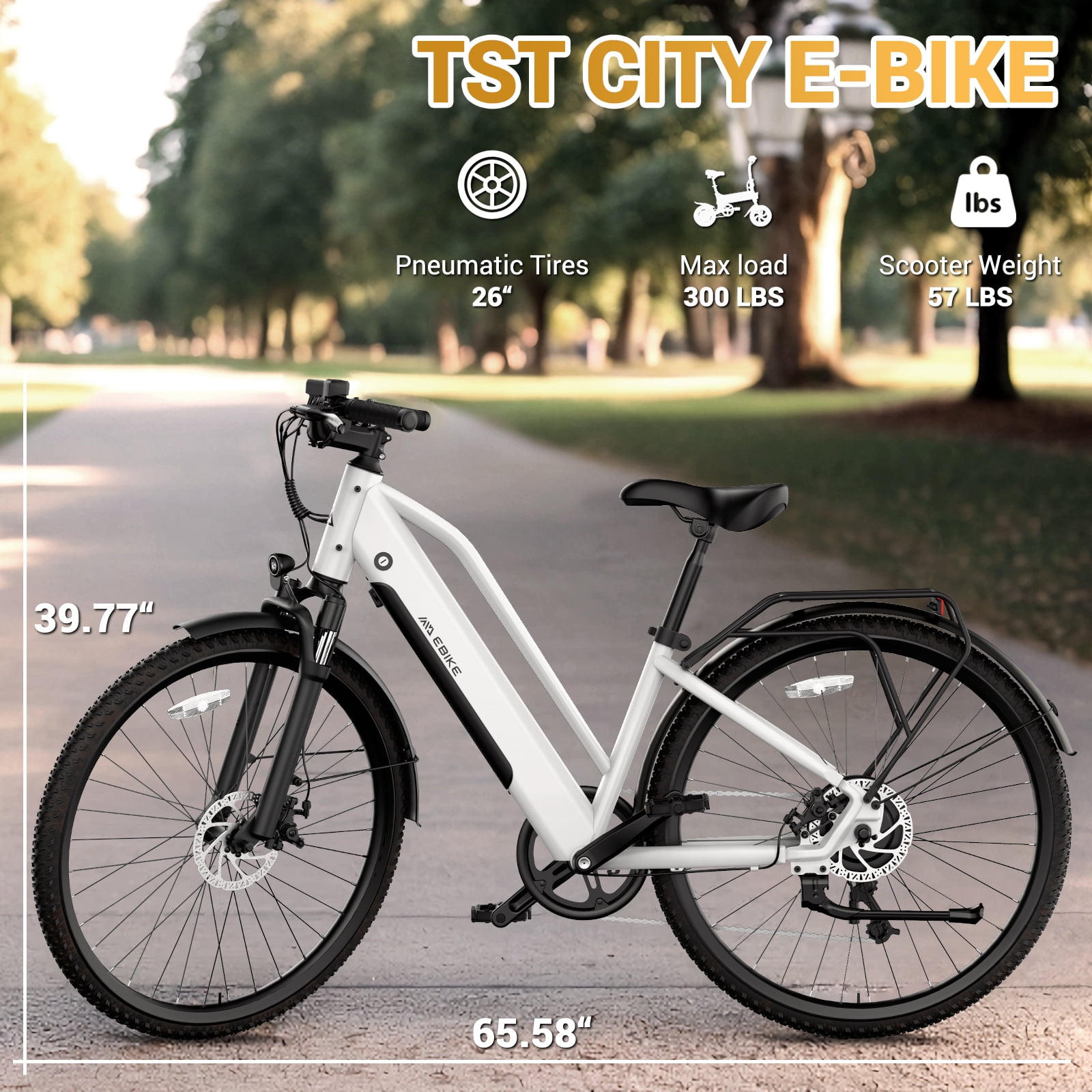 TST Electric Bike 26 TST Electric Bike 26