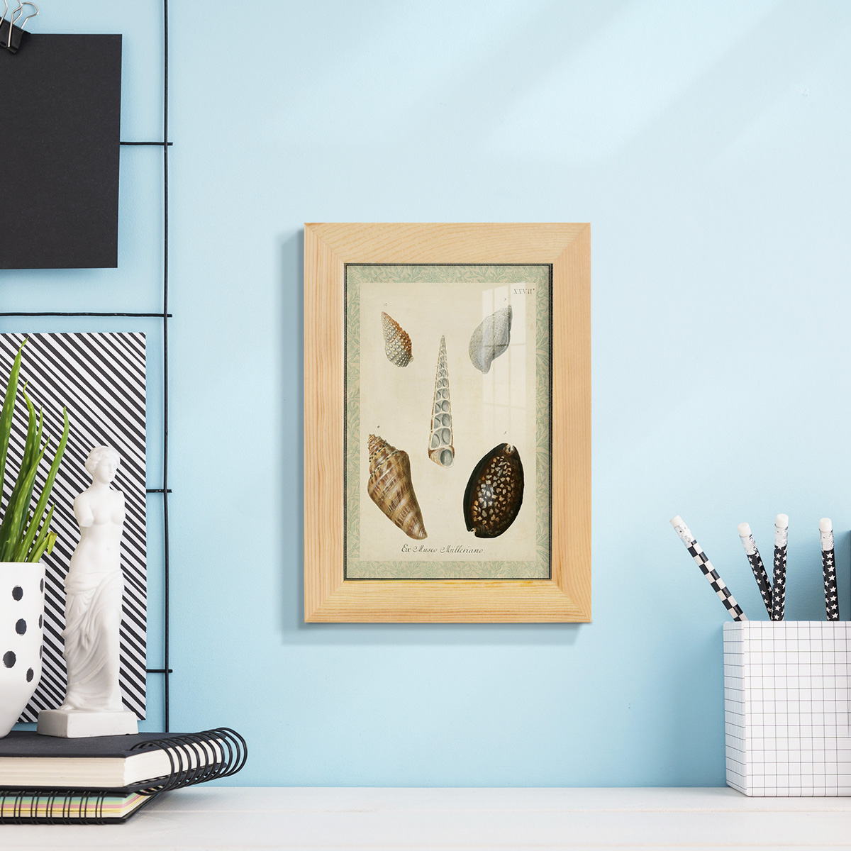 Bookplate Shells IX - Framed Print w/glass - Natural Wood