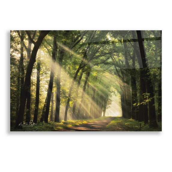 Epic Art 'The Light of Lochem' by Martin Podt, Acrylic Glass Wall Art, 24"x16"