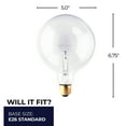 thumbnail image 2 of Bulbrite Pack of (50) 10 Watt Dimmable Clear G12 Incandescent Light Bulbs with Candelabra (E12) Base, 2700K Warm White Light, 2 of 5