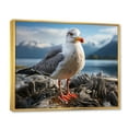thumbnail image 2 of Designart "Seagull Portrait Perched on a Rock" Animals Floater Framed Wall Decor, 2 of 7