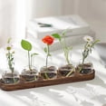 thumbnail image 3 of Plant Terrarium Propagation Station, Glass Planter Bulb Vase with Wooden Tray, Modern Bud Vases for, 3 of 5