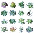 thumbnail image 1 of Coofit 16PCS Fake Succulent Decorative Unpotted Artificial Succulents Fake Plant, 1 of 10