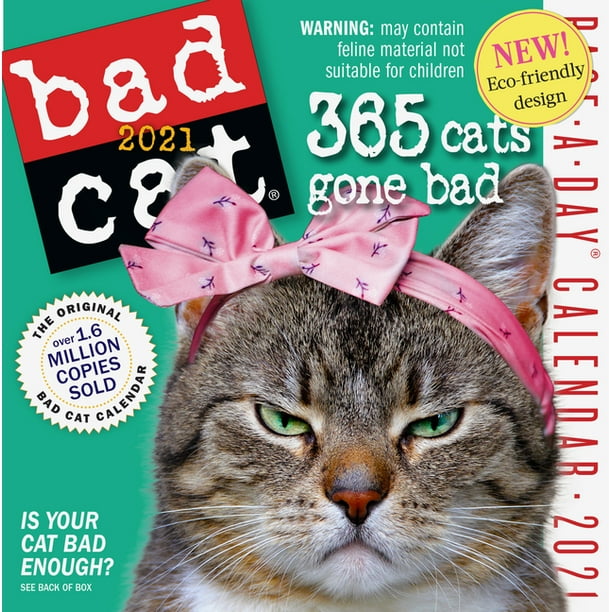 Bad Cat Page-A-Day Calendar 2021 - Walmart.com - Walmart.com