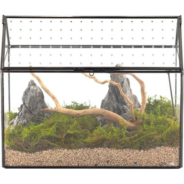 NCYP House Shape Glass Terrarium with Acrylic Lid - 10.2x5.9x8.2 Inches Large Geometric Box for Snails, Ferns, Succulents, Air Plants, Indoor Tabletop Decor, Handmade (Terrarium Only)