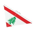thumbnail image 3 of Lebanese Flag Dog Bandanas Triangle Dog Scarfs For Small Medium Large Dogs And Cats, 3 of 6