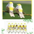 thumbnail image 5 of Holzlrgus 12pcs Mini Yellow Artificial Birds for Crafts Christmas Tree Decoration Realistic Miniature Mushroom Foam Bird Ornaments Metal Clip 5cm/2inch, 5 of 7