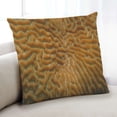 thumbnail image 1 of Ahgly Company Sites Great Barrier Reef Indoor Throw Pillow, 18 inch by 18 inch, 1 of 6