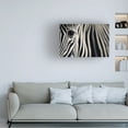 thumbnail image 2 of Mario Moreno 'Eye & Stripes' Canvas Art, 2 of 4