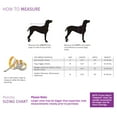 thumbnail image 2 of HDE Dog Raincoat Hooded Slicker Poncho for Small to X-Large Dogs and Puppies Nautical Boats L, 2 of 6