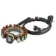 thumbnail image 3 of Bobina de estator generador para Yamaha Warrior 350 / Moto-4 350 / Big Bear 350 90-94, 3 of 12