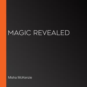 magic revealed audiobook walmart