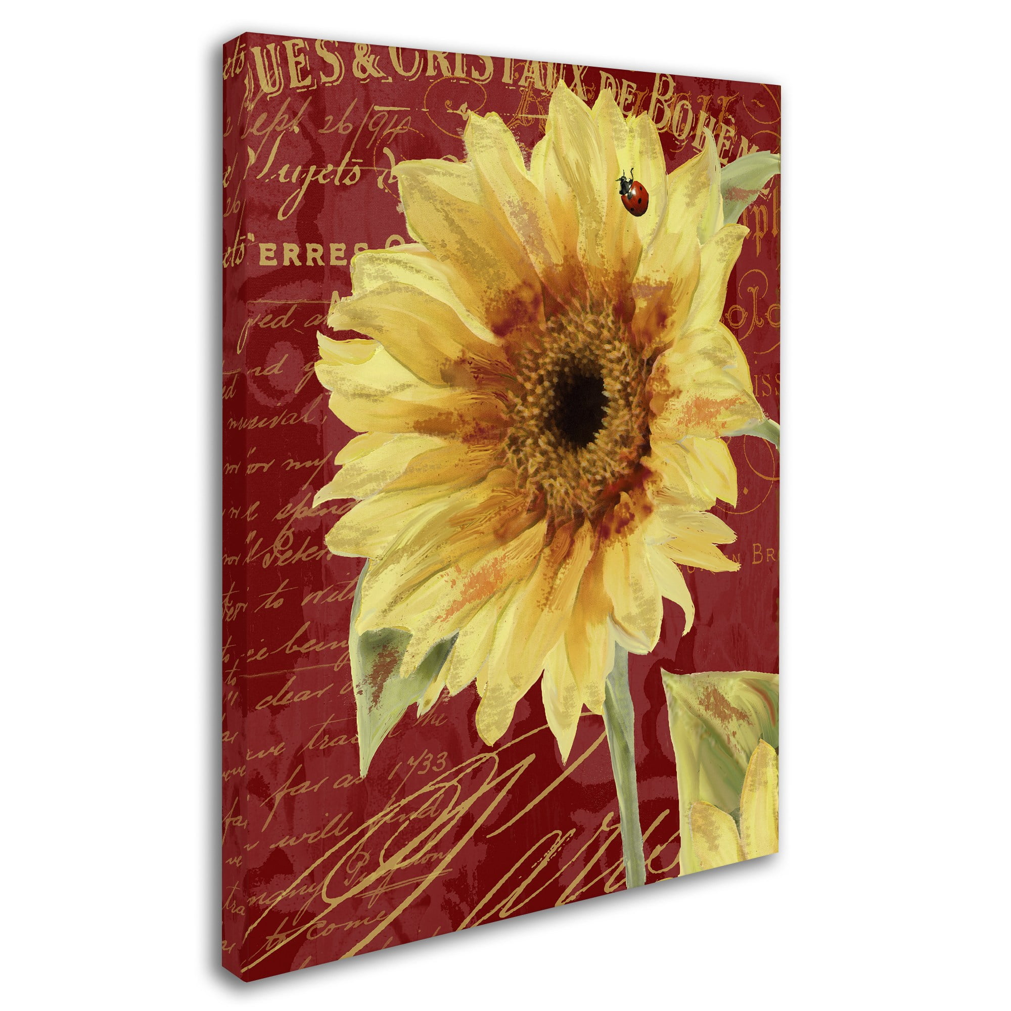 Trademark Fine Art "Ete Lady Bug" Canvas Art by Color Bakery