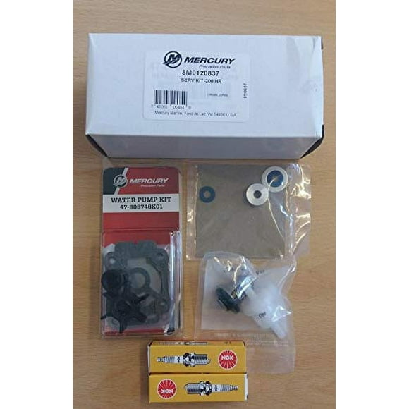 Mercury Marine Outboard 8/9.9 HP Std Gearcase 300 Hr Service Kit 0R042475 and Above, 8M0120837