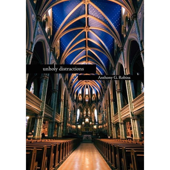 unholy distractions (Hardcover)
