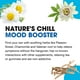 thumbnail image 5 of Remedio calmante natural MediNatura WellMind 100 tabletas, 5 of 7