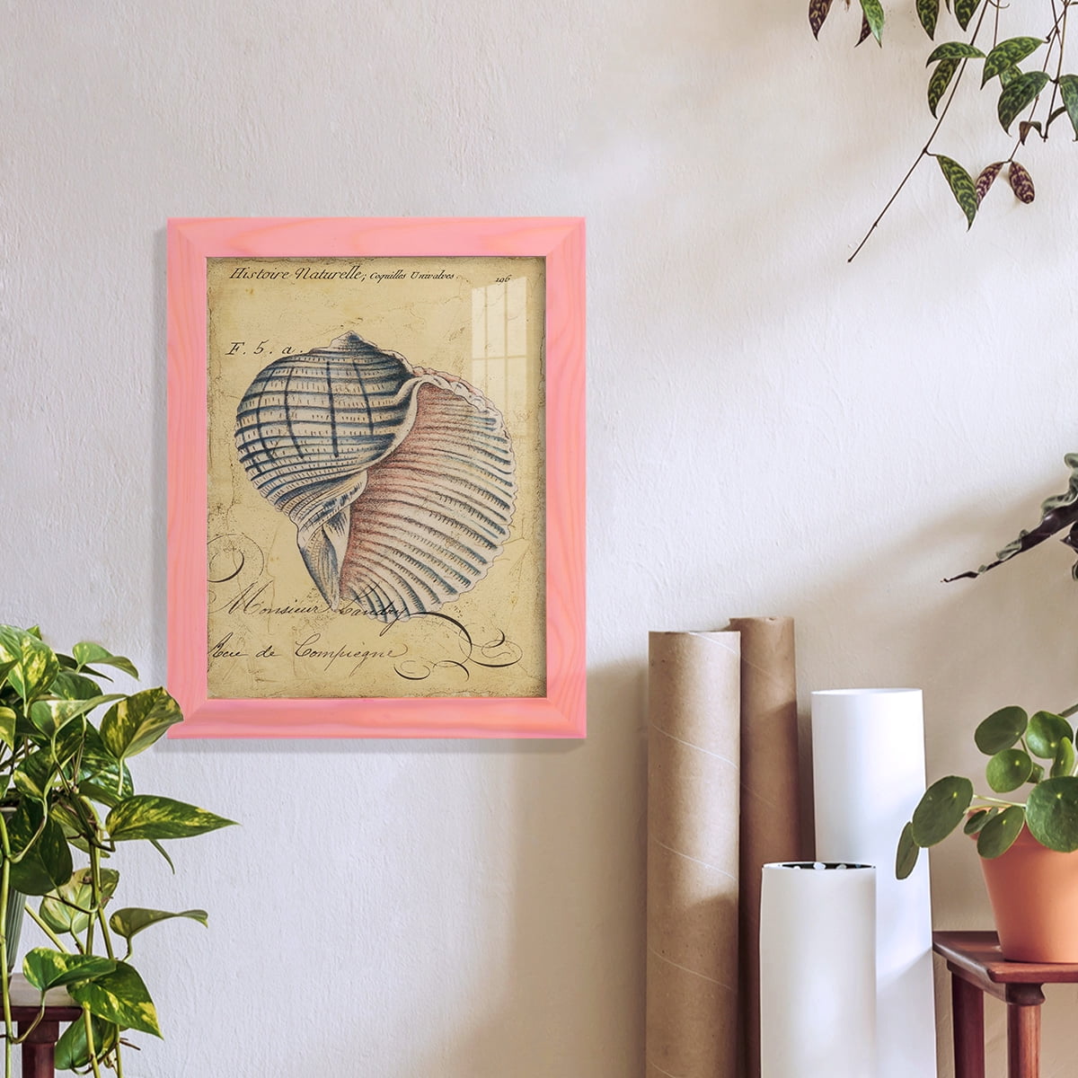 Seashell Ephemera V - Framed Print w/glass - Sunset Pink