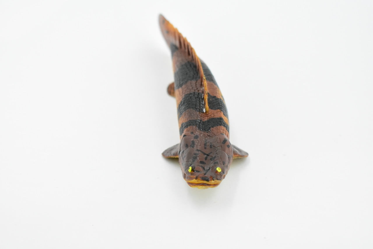 Fish, Bowfin Fish, Barred Bichir, Museum Quality, Hand Painted, Rubber Fish, Realistic Toy Figure, Model, Replica, Kids, Educational, Gift, 7 Fish, Bowfin Fish, Barred Bichir, Museum Quality, Hand Painted, Rubber Fish, Realistic Toy Figure, Model, Replica, Kids, Educational, Gift, 7