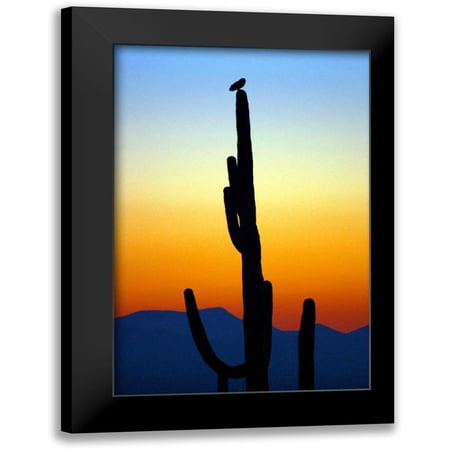 Taylor Douglas 11x14 Black Modern Framed Museum Art Print Titled - Owl at Sunset