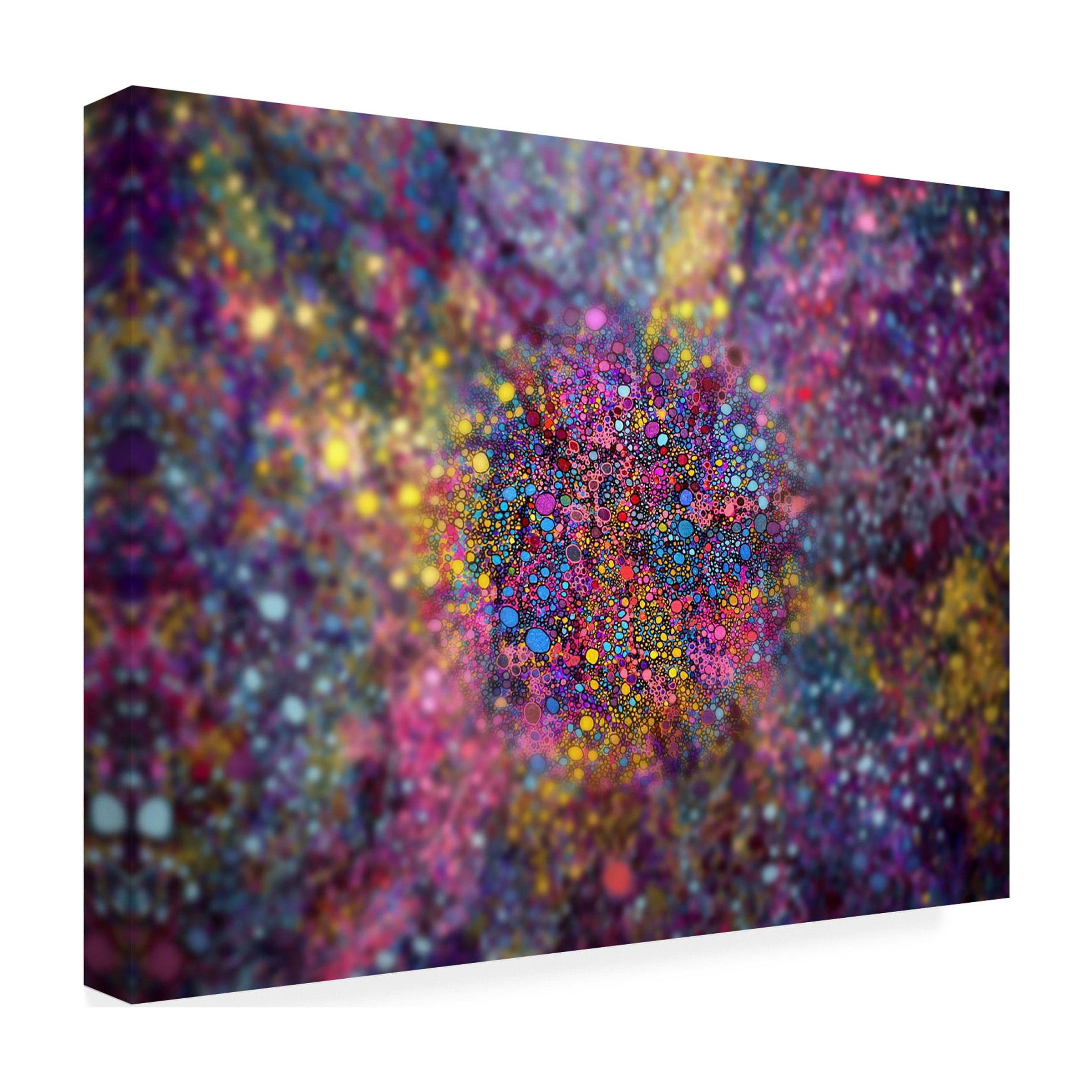Trademark Fine Art 'Clarity of Insight' Canvas Art by MusicDreamerArt