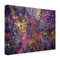 thumbnail image 4 of Trademark Fine Art 'Clarity of Insight' Canvas Art by MusicDreamerArt, 4 of 4