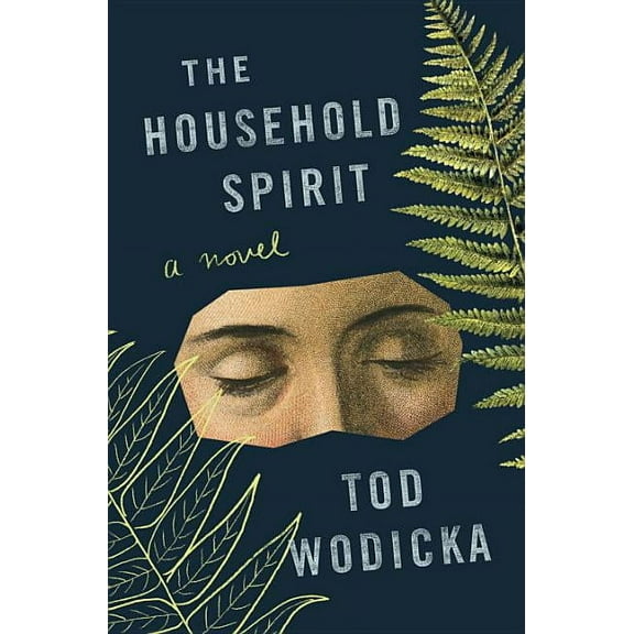 Pre-Owned The Household Spirit (Hardcover) by Tod Wodicka