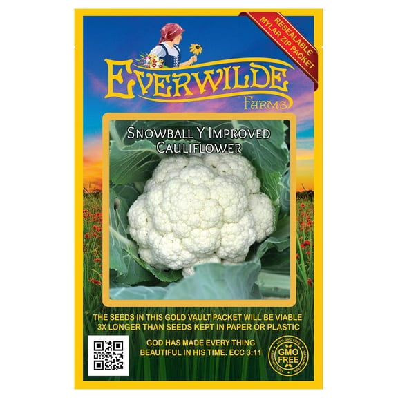 Everwilde Farms - 500 Snowball Y Improved Cauliflower Seeds - Gold Vault Jumbo Bulk Seed Packet