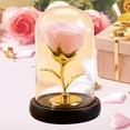 thumbnail image 2 of Forever Preserved Rose Display Dome, Valentine's Day Decorative Rose Gifts for Women Mom Wife Girlfriend (Pink), 2 of 6