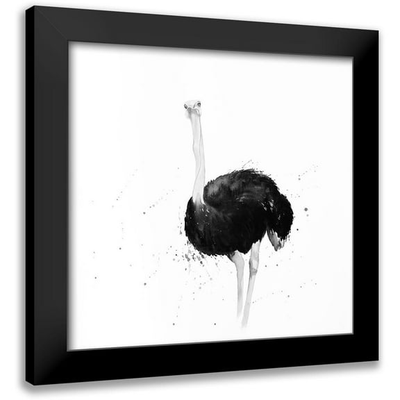 Atelier B Art Studio 12x12 Black Modern Framed Museum Art Print Titled - OSTRICH IN WATERCOLOR