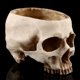 thumbnail image 1 of Maceta De Calavera, Maceta De Calavera Ecológica Diseño De Cabeza De Calavera Para Fotografía Para Club ANGGREK Otros, 1 of 8