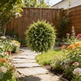 thumbnail image 5 of RKSTN 17.72" Artificial Evergreen Cyprus Ball, Artificial Topiary Ball Plants Garden Decorations Indoor Outdoor, 5 of 5