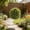 F, variant on Artificial Boxwood Balls, Simulation Grass Milan Grass Decoration, Topiary Pines Needle Grass Artificial Evergreens Cyprus Ball, for Weddings, Parties, Offices, and Home Settings