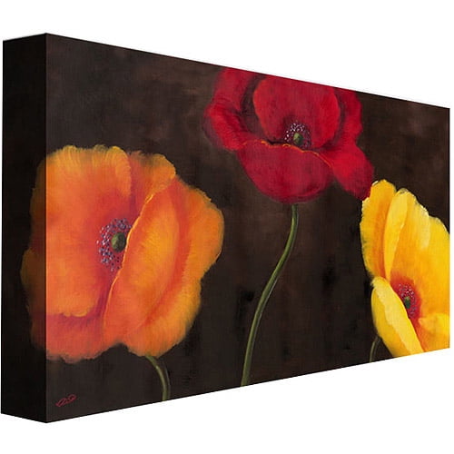 Trademark Fine Art "Orange, Red and Yellow" Canvas Wall Art by Rio