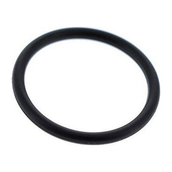 Briggs & Stratton OEM 555601  Seal-O Ring