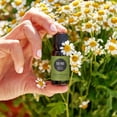 thumbnail image 2 of Edens Garden Tea Tree Essential Oil- 100% Pure Premium Grade, Undiluted, Natural, Therapeutic, Aromatherapy, The Best for Diffuser, Hair, Humidifiers, Kid Safe118 ml (4 fl oz), 2 of 9