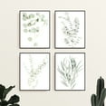 thumbnail image 4 of Haus and Hues Botanical Plant Wall Art Prints - Set of 4 Floral Plant Wall Decor | 8"x10" | Unframed), 4 of 6