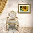 thumbnail image 3 of Williams, Alex 14x11 Gold Ornate Wood Framed with Double Matting Museum Art Print Titled - Summer Sunflowers II, 3 of 4