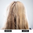 thumbnail image 2 of Acondicionador Sin Enjuague Fortalecedor para El Cuero Cabelludo y El Cabello (100 Ml) | Mejora El Cabello Seco y Encrespado | Aporta Brillo | Nutrición Botánica | Fórmula Ligera | Aceite de Camelia, 2 of 5