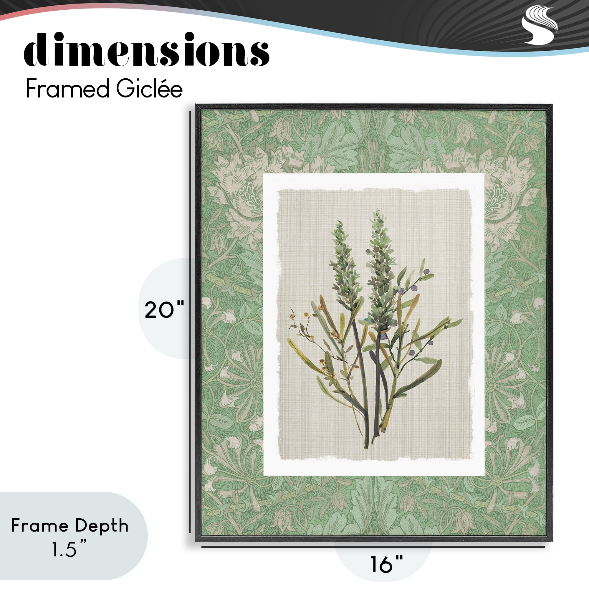 Stupell Industries Antique Foliage in Green Black Framed Giclee Art, design by Carol Robinson