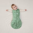 thumbnail image 5 of ergoPouch - Cocoon Swaddle Sack 2.5tog, 5 of 5